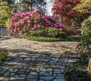 Landscape Design