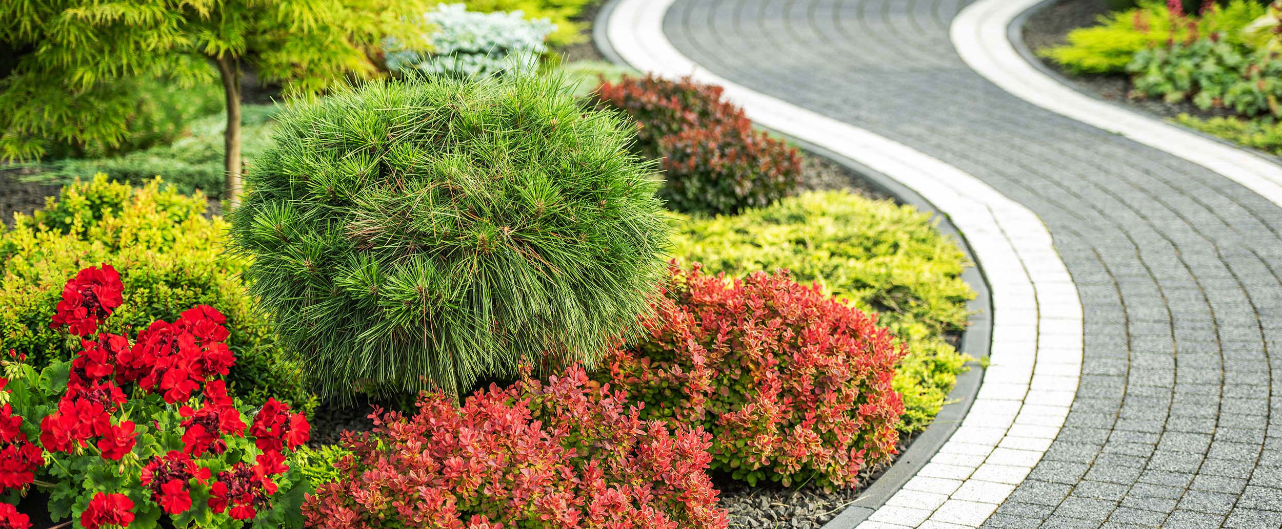 Landscape Design Page
