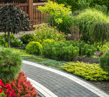 Landscape Design2