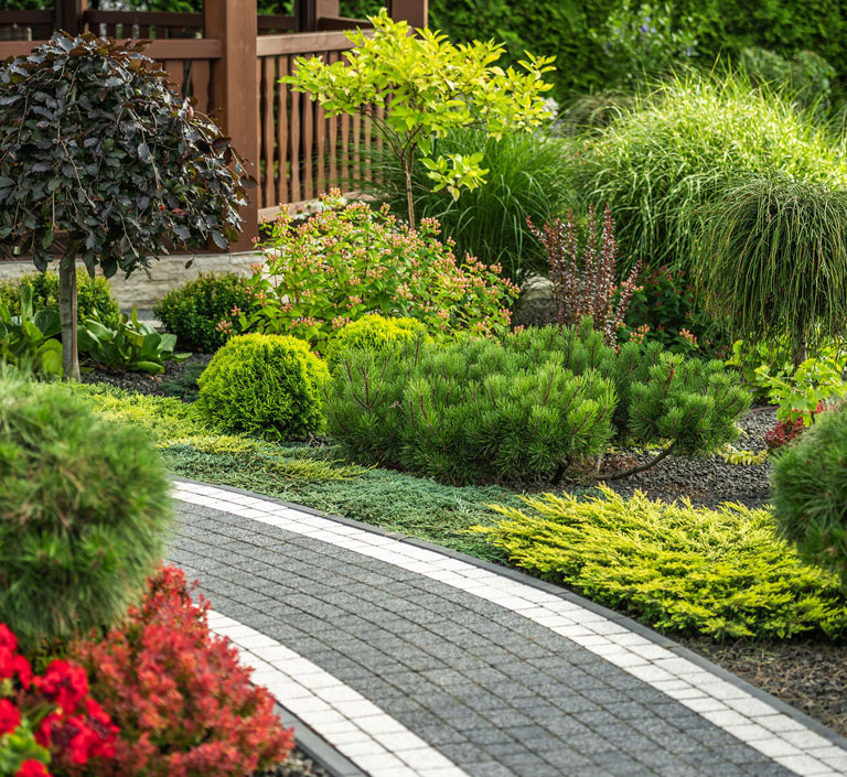 Landscape Design2