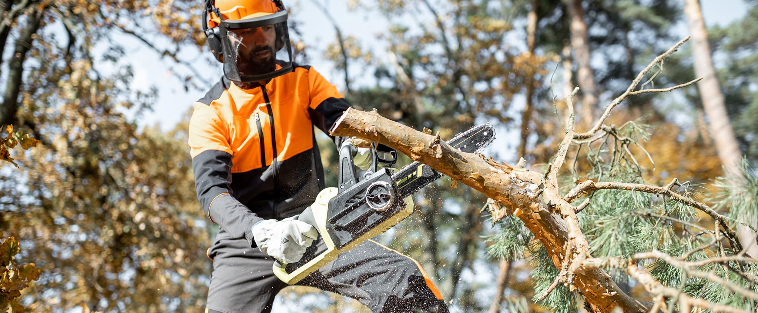 Tree Service header